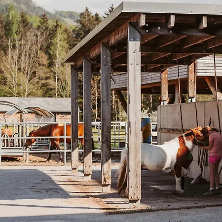 Reiterhof Edtbauer Vakantieboerderij