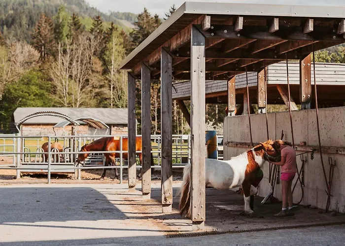 Reiterhof Edtbauer Bauernhof